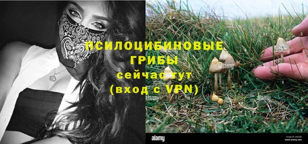 a pvp Алзамай