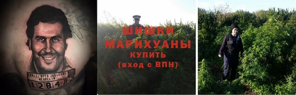 соль курить ск Алексеевка