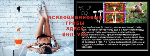соль курить ск Алексеевка