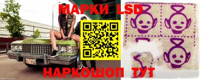 гидропоника Ивантеевка