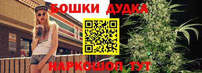 гидропоника Ивантеевка