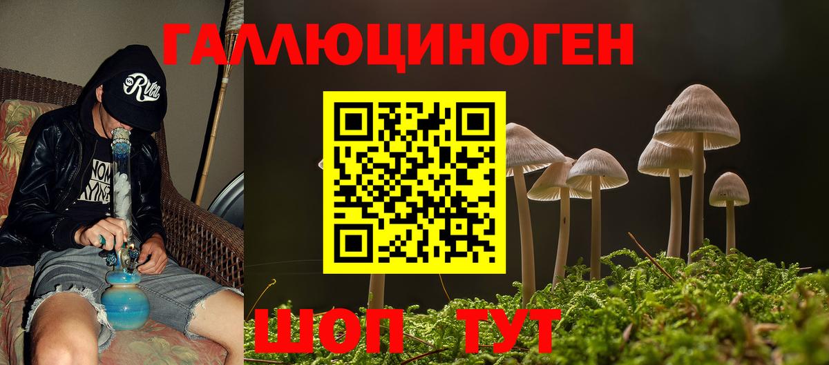 цена   Псилоцибиновые грибы Magic Shrooms  Галлюциногенные грибы Cubensis  Вход с VPN  Кореновск 